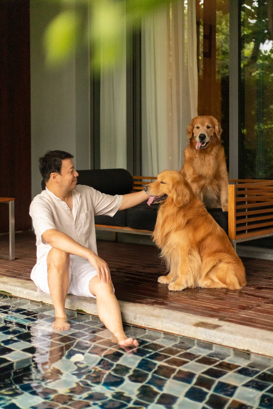 Pet Suite Promotion🐶🏕